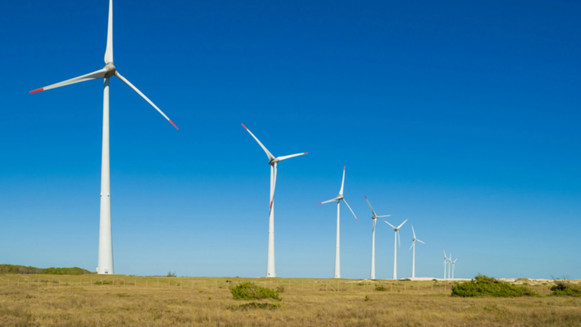 Conheça o mercado de energia eólica no Brasil 