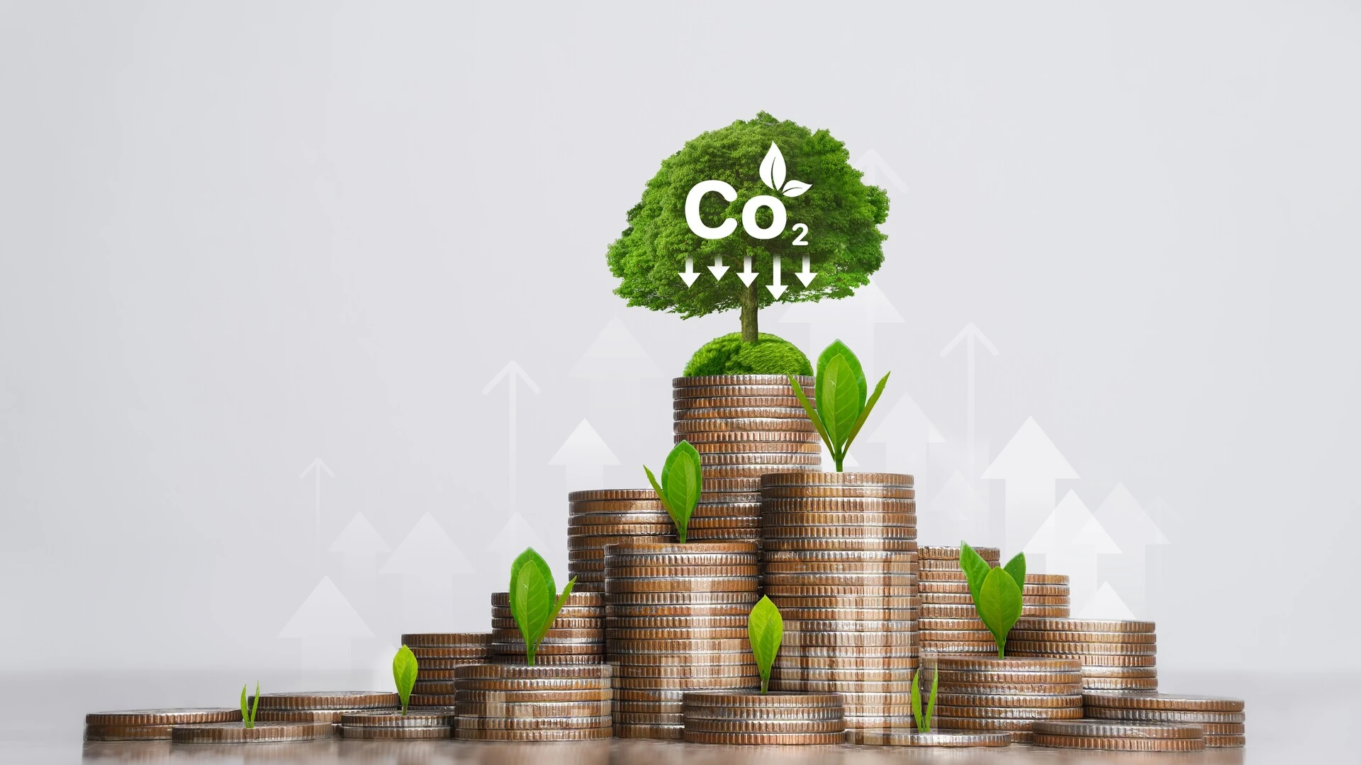 CECarbon_a_calculadora_de_carbono_que_conta_com_EPDs_da_Saint_Gobain_para_construção_sustentável